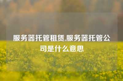 服务器托管租赁,服务器托管公司是什么意思