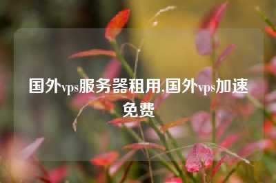 国外vps服务器租用,国外vps加速免费