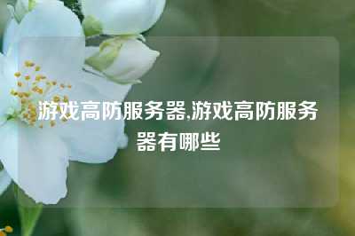 游戏高防服务器,游戏高防服务器有哪些