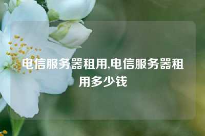 电信服务器租用,电信服务器租用多少钱