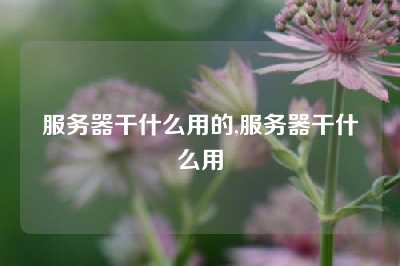 服务器干什么用的,服务器干什么用