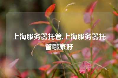上海服务器托管,上海服务器托管哪家好