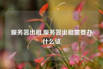 服务器出租,服务器出租需要办什么证
