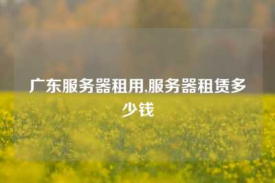 广东服务器租用,服务器租赁多少钱