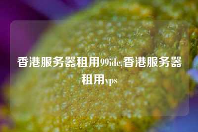 香港服务器租用99idc,香港服务器租用vps