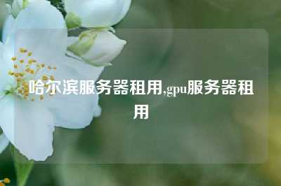 哈尔滨服务器租用,gpu服务器租用