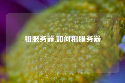 租服务器,如何租服务器