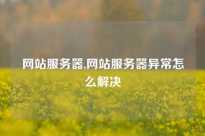 网站服务器,网站服务器异常怎么解决