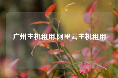 广州主机租用,阿里云主机租用