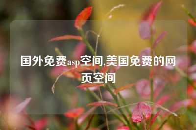 国外免费asp空间,美国免费的网页空间