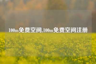 100m免费空间,100m免费空间注册