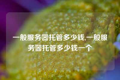 一般服务器托管多少钱,一般服务器托管多少钱一个