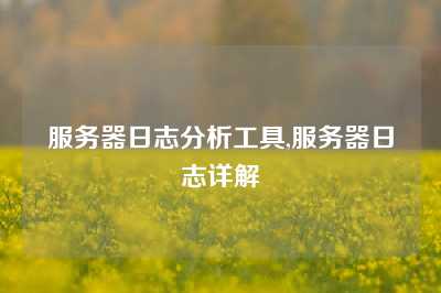 服务器日志分析工具,服务器日志详解