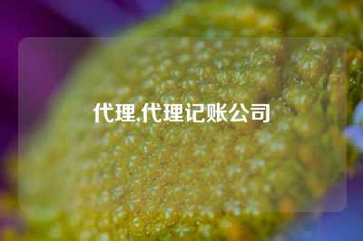 代理,代理记账公司