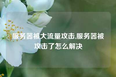 服务器被大流量攻击,服务器被攻击了怎么解决