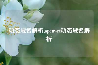 动态域名解析,openwrt动态域名解析