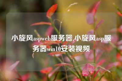 小旋风aspweb服务器,小旋风asp服务器win10安装视频
