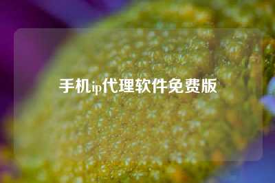 手机ip代理软件免费版