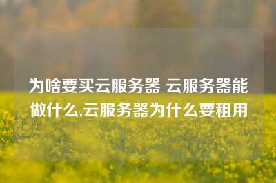 为啥要买云服务器 云服务器能做什么,云服务器为什么要租用