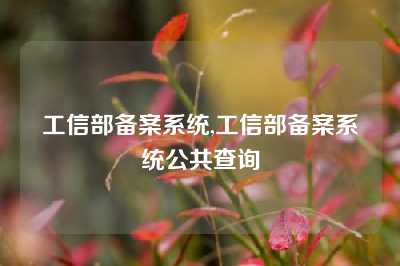 工信部备案系统,工信部备案系统公共查询
