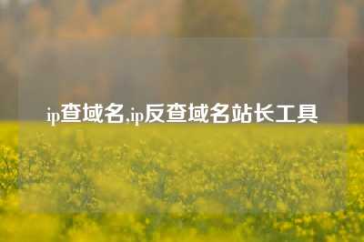 ip查域名,ip反查域名站长工具