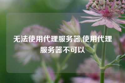 无法使用代理服务器,使用代理服务器不可以