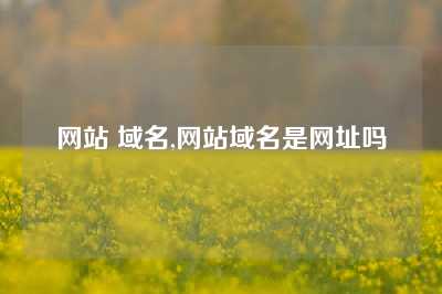 网站 域名,网站域名是网址吗