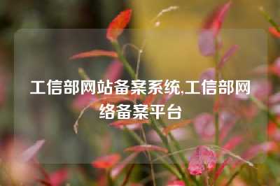 工信部网站备案系统,工信部网络备案平台
