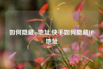 如何隐藏ip地址,快手如何隐藏IP地址