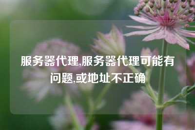 服务器代理,服务器代理可能有问题,或地址不正确