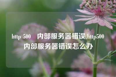 http 500   内部服务器错误,http500内部服务器错误怎么办