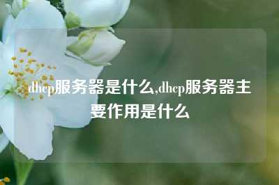 dhcp服务器是什么,dhcp服务器主要作用是什么