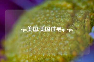 vps美国,美国住宅ip vps