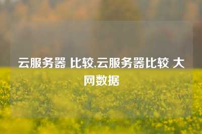 云服务器 比较,云服务器比较 大网数据
