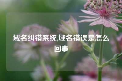 域名纠错系统,域名错误是怎么回事
