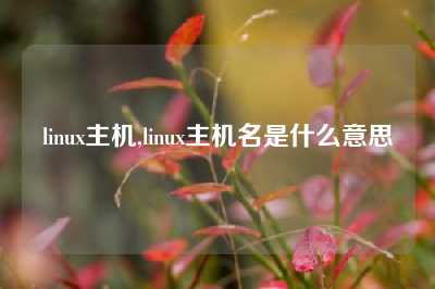 linux主机,linux主机名是什么意思