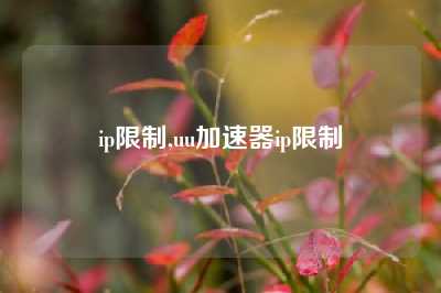 ip限制,uu加速器ip限制