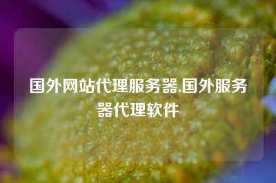 国外网站代理服务器,国外服务器代理软件