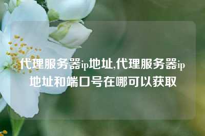 代理服务器ip地址,代理服务器ip地址和端口号在哪可以获取