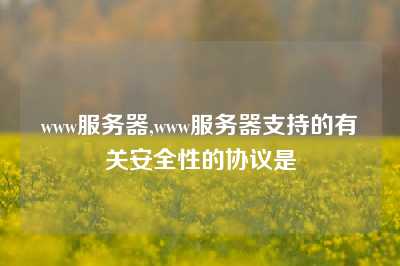 www服务器,www服务器支持的有关安全性的协议是