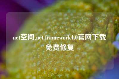 net空间,net.framework4.0官网下载免费修复