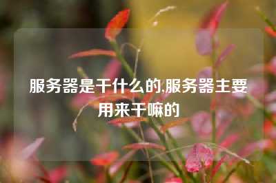 服务器是干什么的,服务器主要用来干嘛的