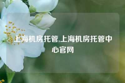 上海机房托管,上海机房托管中心官网