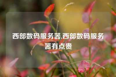 西部数码服务器,西部数码服务器有点贵