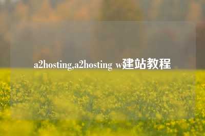 a2hosting,a2hosting w建站教程
