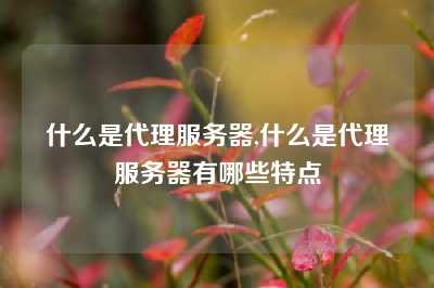 什么是代理服务器,什么是代理服务器有哪些特点