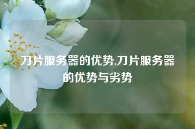 刀片服务器的优势,刀片服务器的优势与劣势