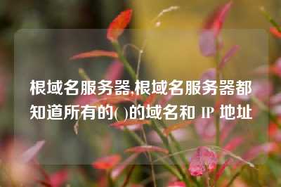 根域名服务器,根域名服务器都知道所有的( )的域名和 IP 地址