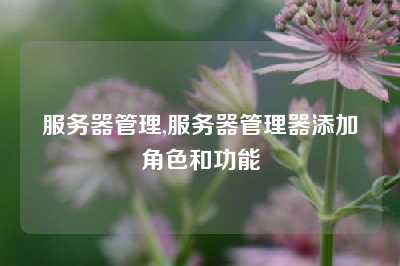 服务器管理,服务器管理器添加角色和功能