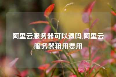 阿里云服务器可以退吗,阿里云服务器租用费用